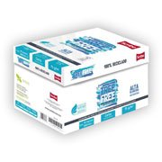 Papel Scribe Tree Free